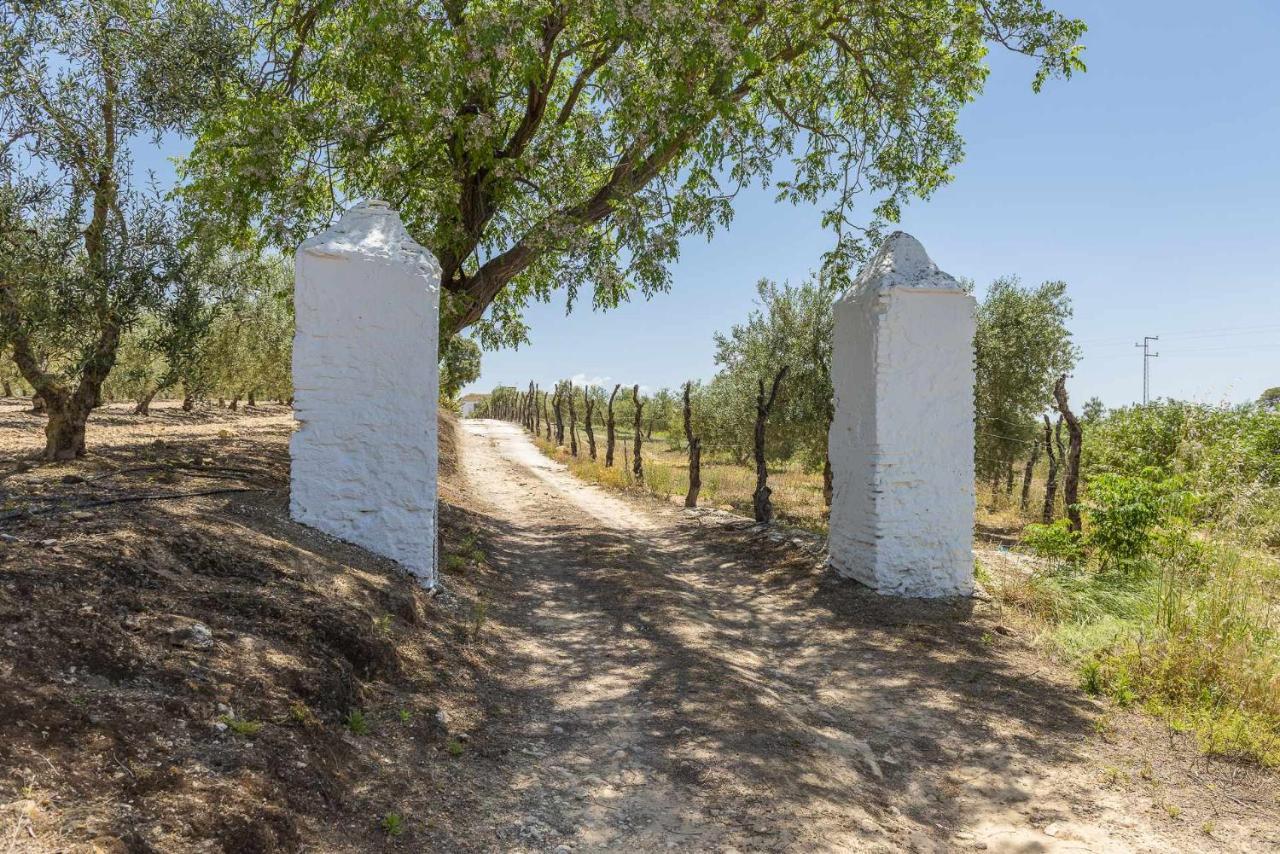 Hacienda San Antonio Villa Marchena  Eksteriør billede